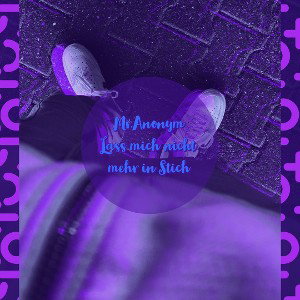 Lass mich nicht mehr im Stich (Mr.Anonym 