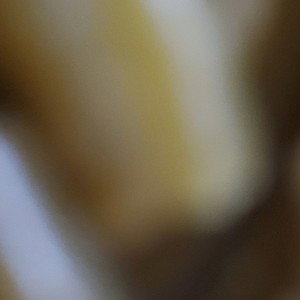 dehcu4 us je nsuu0 islamisation hier is krjc