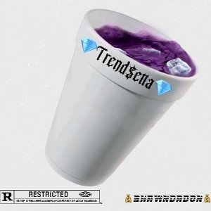 💎trendsetta💎