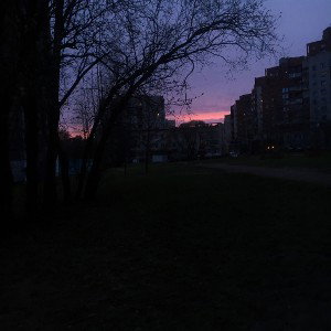 Лишь во сне