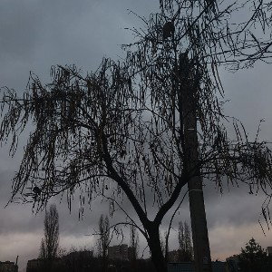 Судьба