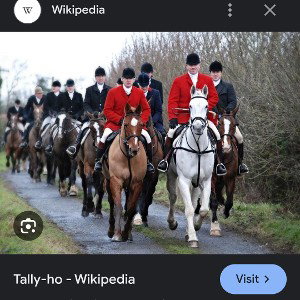 Tally Ho