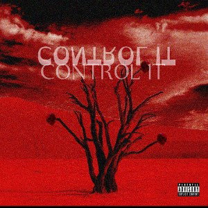 CONTROL_IT