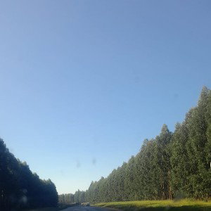 Breath 