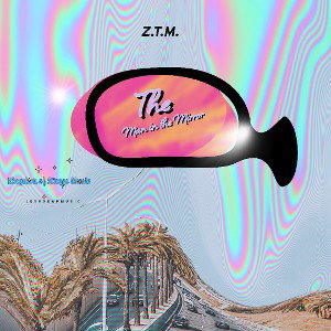 Z.T.M. The Man in the Mirror 