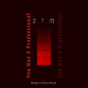 Z.T.M.- You was a professional 