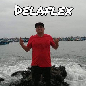 negocio familiar delaflex