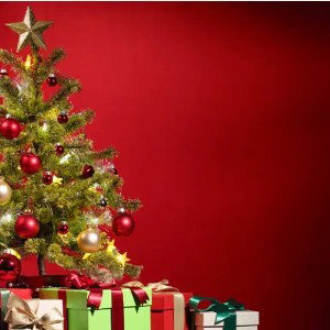 We wish you a merry Christmas