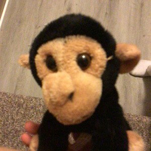 Monkey  rip 💔💔