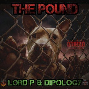 The Pound 🐉🥊