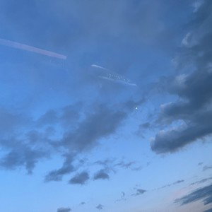 cyan bop