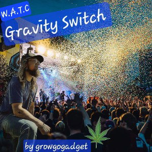 Gravity Switch