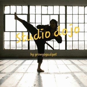Studio dojo