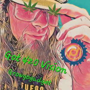Got 420 Vision