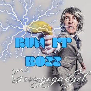 Run It Boss
