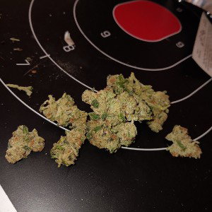 DAZED neva FAZED smokee412 ft. sandmanndaghost