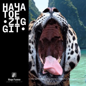 Начатое  •ZIGGIT•