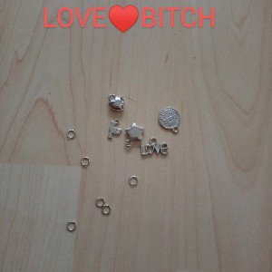 Love ❤️ Bitch  (Lena diss )