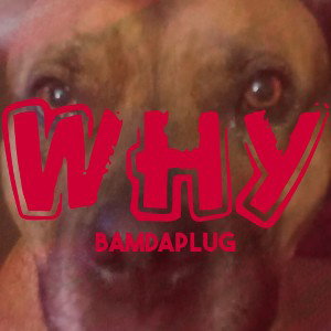 WHY - BAMDAPLUG