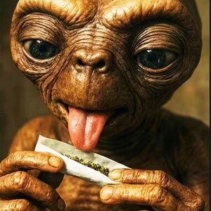 100% Smoke 