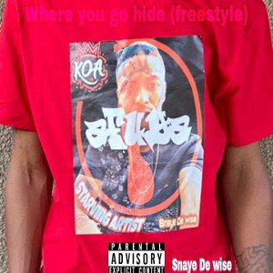 Where u go hide (freestyle)- Snaye De wise 