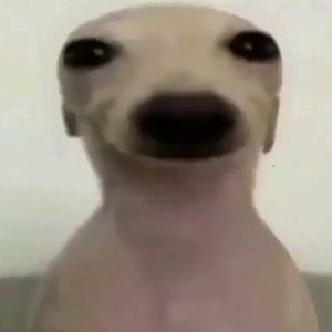 на обед