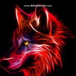 I'm not a bad wolf any more