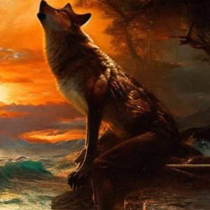 Let's go to the wolf beach