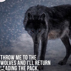 leader of the pack
