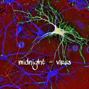 Midnight Virus