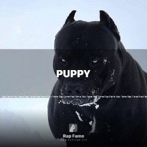 puppy