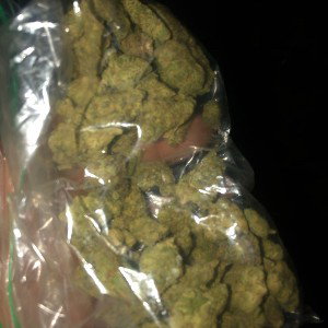 grittys finest