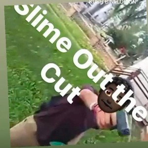 $LIME