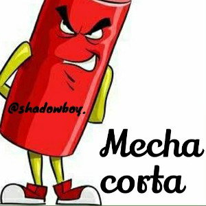 Mecha corta 