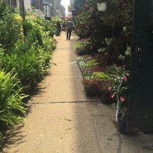 NYC Walking Commuter 