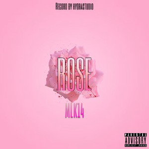 MLK14K - Rose