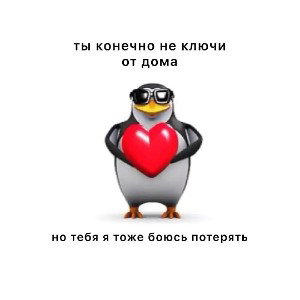 Пингвинов люблю❤😘