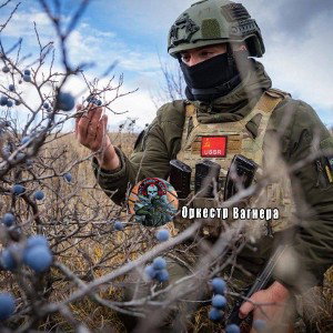 жизнь