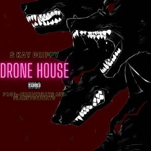 S.Kay Drippy - Drøne Høuse  