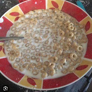 Soggy Cereal 