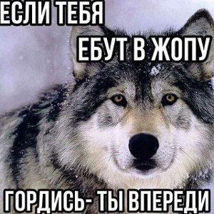 Marunov Diss