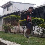 main
crew star
