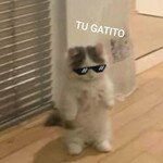 Tu gatito