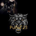 🔥Puma 23🐆