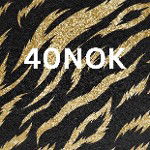 40nok