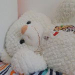 main
crew star