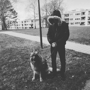 [FREE] - Schüsse aus dem Benzer Teaser