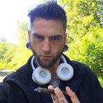 The wolverine