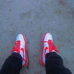 Y.N.L HooDI£