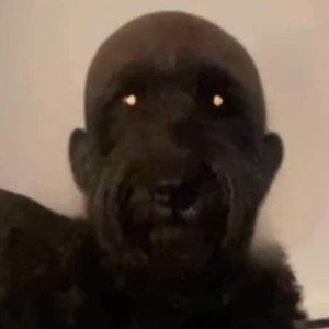 ya